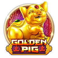 Golden Pig